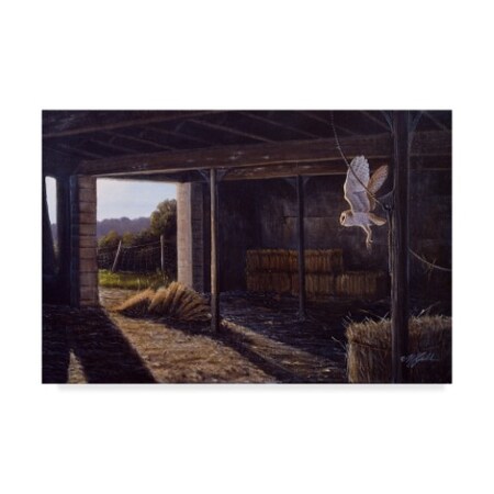 Trademark Fine Art Wilhelm Goebel 'On Silent Wings Barn Owl' Canvas Art, 16x24 ALI33768-C1624GG